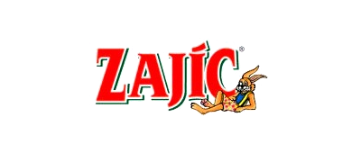 Zajíc