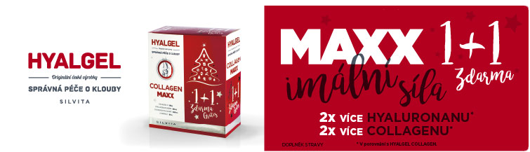 GigaLékárna.cz - Hyalgel Collagen MAXX vánoční balení 2x500 ml