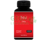 ADVANCE Tribul cps. 60
