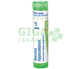 Aesculus Hippocastanum 5CH gra.4g