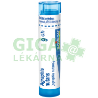 Agraphis Nutans CH9 gra.4g