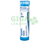 Agraphis Nutans 9CH gra.4g