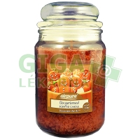 Airpure vonná svíčka ve skle Gingerbread 510g