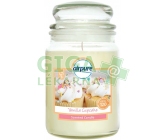 Airpure vonná svíčka ve skle Vanilla Cupcake 510g