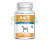 Obrázek Alavis Kloubní výživa pro psy 90 tablet