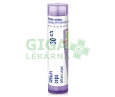 Allium Cepa CH30 gra.4g