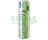Alpa masážní krém Pamenol 40g
