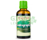 Andrographis tinktura 50ml Bylinné Kapky