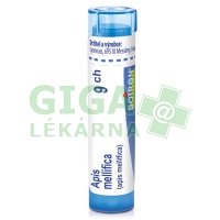 Apis Mellifica CH9 gra.4g