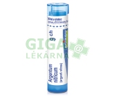 Argentum Nitricum CH9 gra.4g