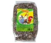 Avicentra slunečnice žíhaná 1kg