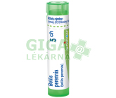 Bellis Perennis 5CH gra.4g