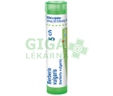 Berberis Vulgaris 5CH gra.4g