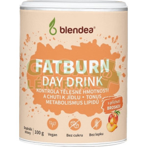 Blendea Fatburn Day Drink broskev 100g