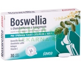 Favea Boswellia s chondroitinem a kolagenem tbl.30