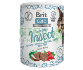 Brit Care Cat Snack Superfruits Insect 100g
