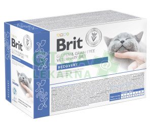Brit Veterinary Diet Cat Pouch fillets in Gravy Recovery 12x85 g