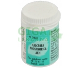 Calcarea phosphorica AKH por.tbl.60