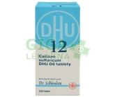 Obrázek Calcium sulfuricum DHU 200 tablet D6 (No.12)
