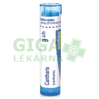 Cantharis CH9 gra.4g