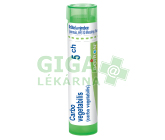 Carbo Vegetabilis 5CH gra.4g