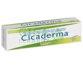 Cicaderma ung.30g