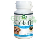 Colafit Max Forte 50 tobolek