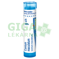 Conium Maculatum CH9 gra.4g