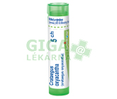 Crataegus Oxyacantha 5CH gra.4g