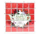 English Tea Shop Bio Adventní kalendář Červený 25ks Puzzle