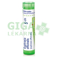 Euphrasia Officinalis CH5 gra.4g