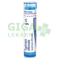 Euphrasia Officinalis CH9 gra.4g