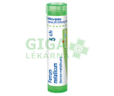 Ferrum Metallicum 5CH gra.4g