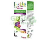 Fructolax Ovoce&Vláknina SIRUP 250 ml