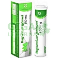 Galmed Magnesium 250mg eff. tbl.20