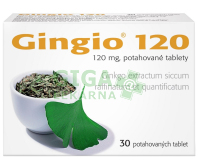 Gingio 120 por.tbl.flm.30x120mg