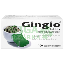 Gingio tablety 100x40mg