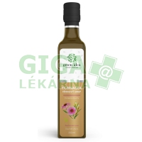Green idea Echinacea třtinový sirup 250ml
