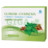 GURMAR-gymnea+skořice+kurkuma 60 tobolek