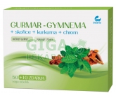 GURMAR-gymnea+skořice+kurkuma 60tob.