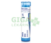 Hekla Lava CH9 gra.4g