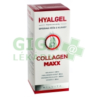 Hyalgel Collagen MAXX 500ml