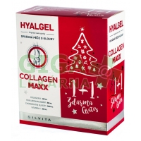Hyalgel Collagen MAXX vánoční balení 2x500 ml
