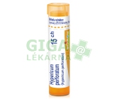 Hypericum Perforatum CH15 gra.4g