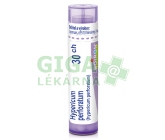 Hypericum Perforatum CH30 gra.4g