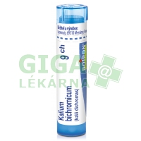 Kalium Bichromicum CH9 gra.4g