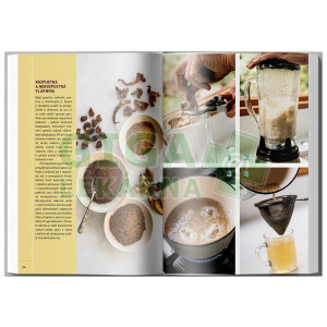 Obrázek Kniha Léčivé houby - praktický průvodce