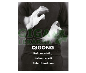Kniha Qigong