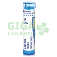 Lachesis Mutus CH9 gra.4g