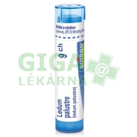 Ledum Palustre CH9 gra.4g